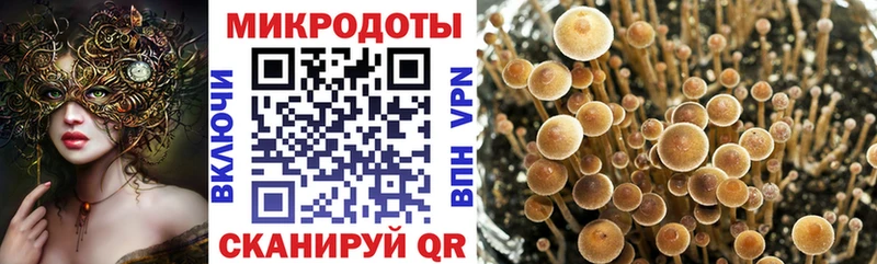 Галлюциногенные грибы Psilocybe hydra онион Усть-Лабинск